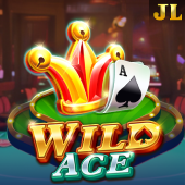 Wild Ace on Filbet Casino Login